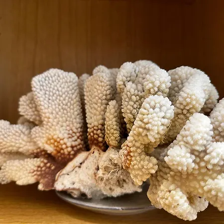 Appartamento Anna Duene 3-42 - Traumlage Im Anna Duene Direkt Am Wangerooge