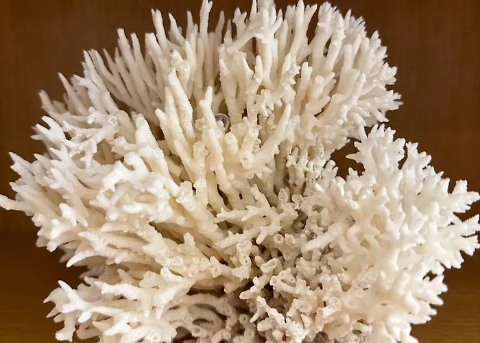 Anna Duene 3-42 - Traumlage Im Anna Duene Direkt Am 4*